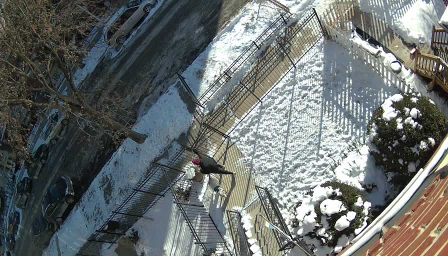 Reolink Camera Two_01_Reolink Home Hub One_20260129091147.jpg